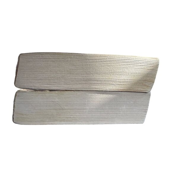 Forgotten Realms Paperback Set of 2 Books Exile & Promise of the Witch King - Picture 4 of 6